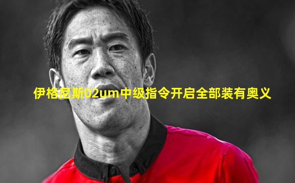 伊格尼斯02um中级指令开启全部装有奥义