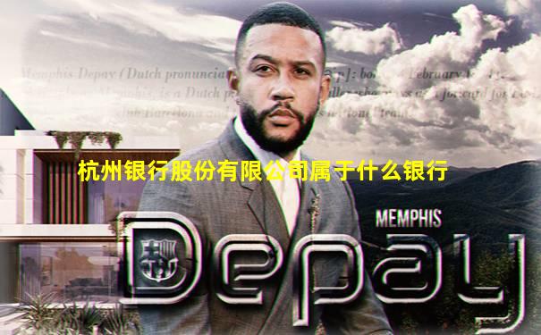 杭州银行股份有限公司属于什么银行