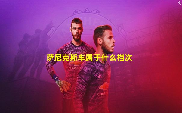 萨尼克斯车属于什么档次