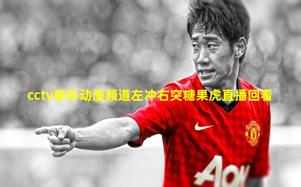 cctv新科动漫频道左冲右突糖果虎直播回看