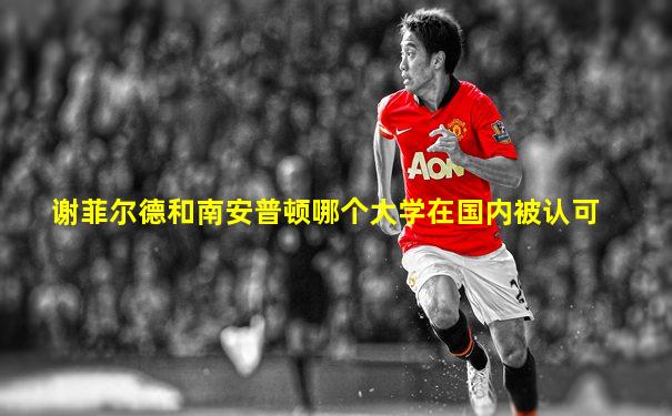 谢菲尔德和南安普顿哪个大学在国内被认可