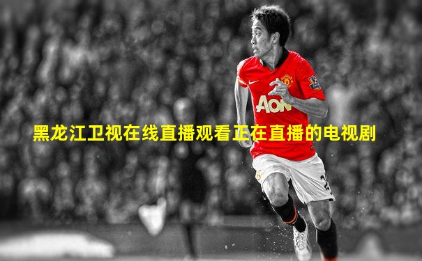 黑龙江卫视在线直播观看正在直播的电视剧